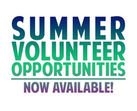 The Ultimate Guide to Meaningful Summer Volunteer Opportunities